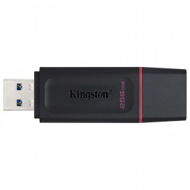 Kingston Lecteur flash Kingston DataTraveler Exodia - 256 Go - USB 3.2 (Gen 1) - Noir, Rose
