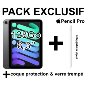 Pack iPad Mini 7 128Go - pencil Pro - coque