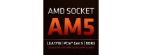 AMD socket AM5